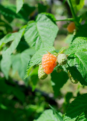 Similar image 21196379