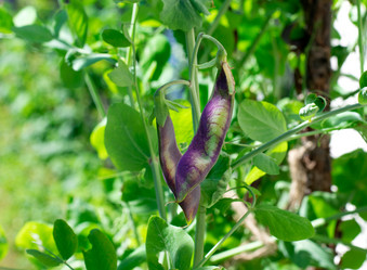 Similar image 21196380