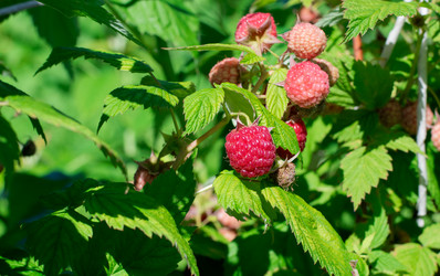 Similar image 21168316