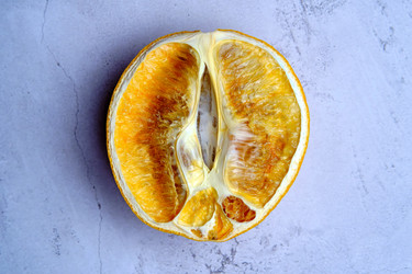 Similar image 21170668