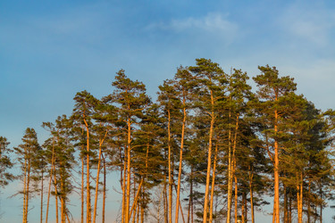 Similar image 21181639