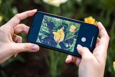 Similar image 21200028