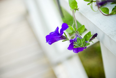 Similar image 21200148