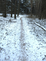 Similar image 21172681