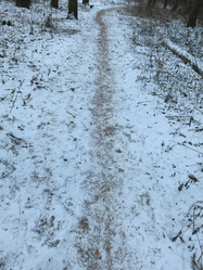 Similar image 21172686