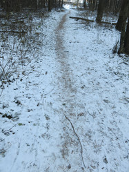 Similar image 21172687