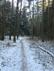 Similar image 21172688