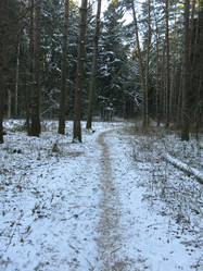 Similar image 21172689