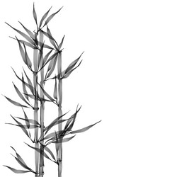 Similar image 21171563