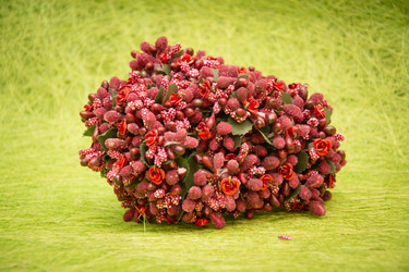 Similar image 21170421