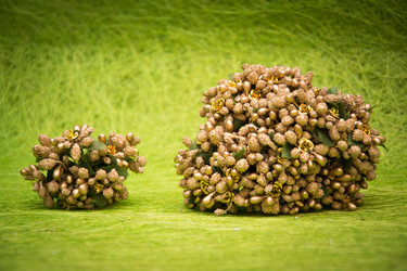 Similar image 21170422