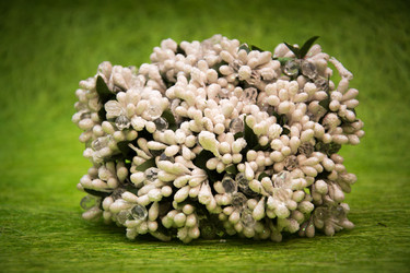 Similar image 21170426