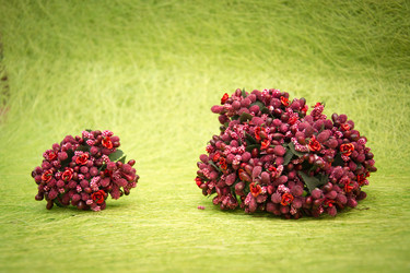 Similar image 21170434