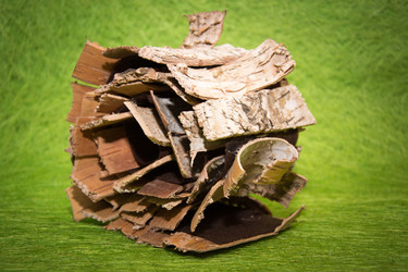 Similar image 21170435