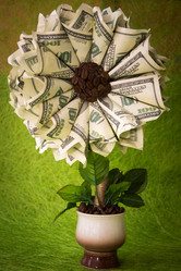 Similar image 21170437