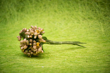 Similar image 21170441