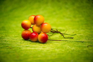 Similar image 21170449