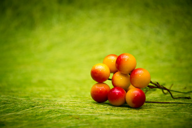 Similar image 21170451