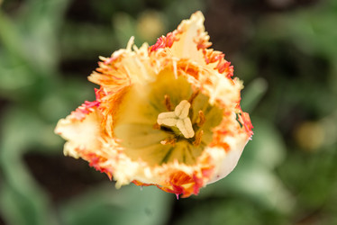 Similar image 21200045