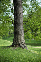 Similar image 21200046