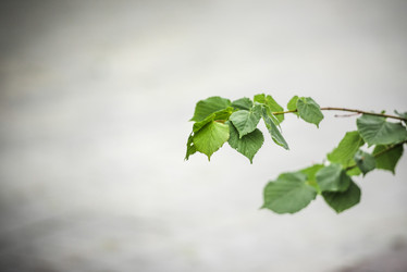 Similar image 21200048