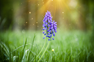 Similar image 21200049