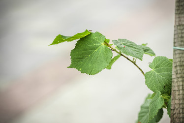 Similar image 21200050