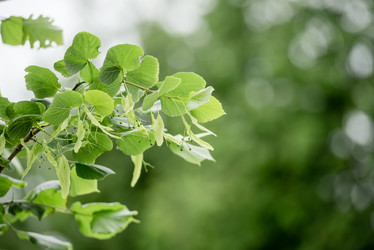 Similar image 21200052