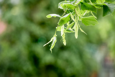 Similar image 21200054