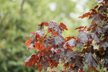 Similar image 21200062