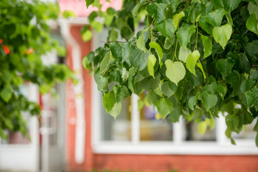 Similar image 21200063