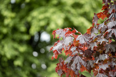 Similar image 21200064