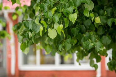 Similar image 21200065