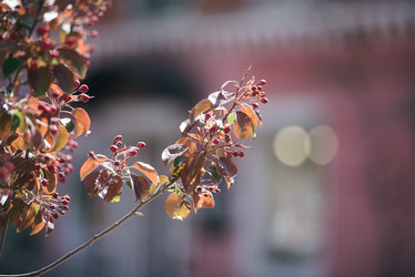 Similar image 21200153