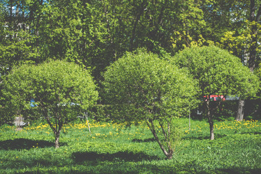 Similar image 21200154