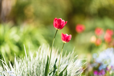 Similar image 21200155