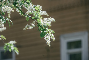 Similar image 21200157