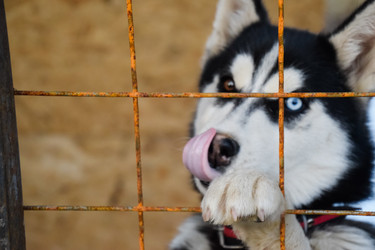 Similar image 21191693