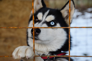 Similar image 21191694