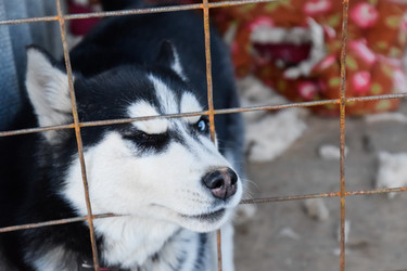 Similar image 21191699