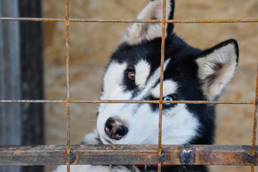 Similar image 21191700