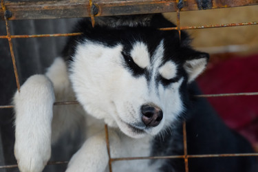 Similar image 21198931