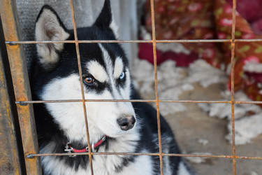 Similar image 21198932