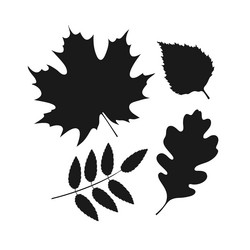 Similar image 21171583