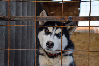 Similar image 21198939