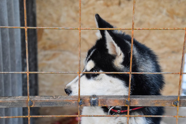 Similar image 21198940