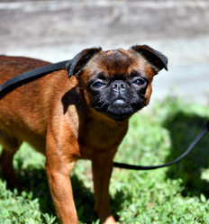 Similar image 21188323