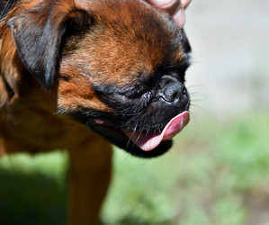 Similar image 21188324