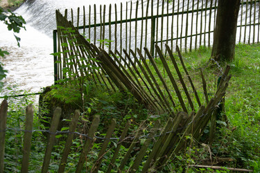 Similar image 21170460