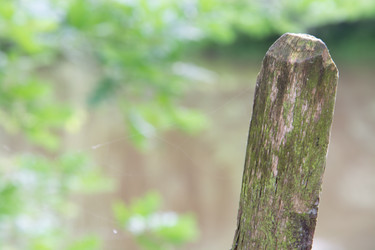 Similar image 21170467